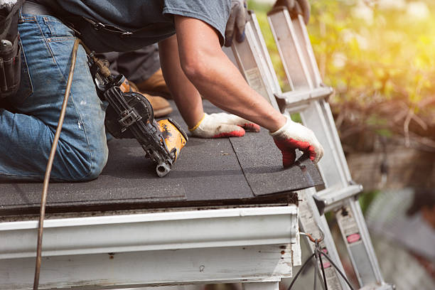 Best Metal Roofing Contractor  in Lake Ripley, WI