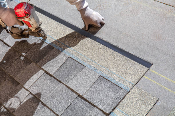 Best Roof Waterproofing Services  in Lake Ripley, WI